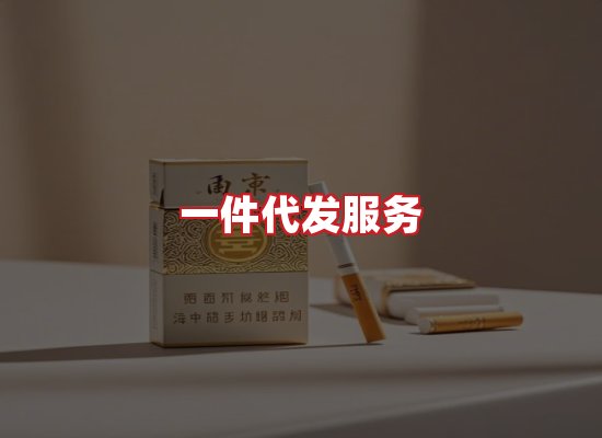 专业团队